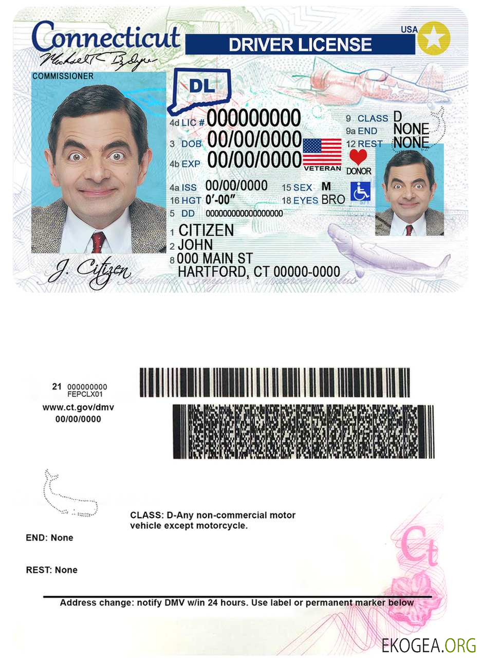 Usa Connecticut template